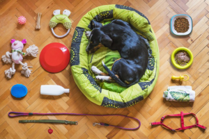 dog sleeping in a bean bag with a lot of products around it