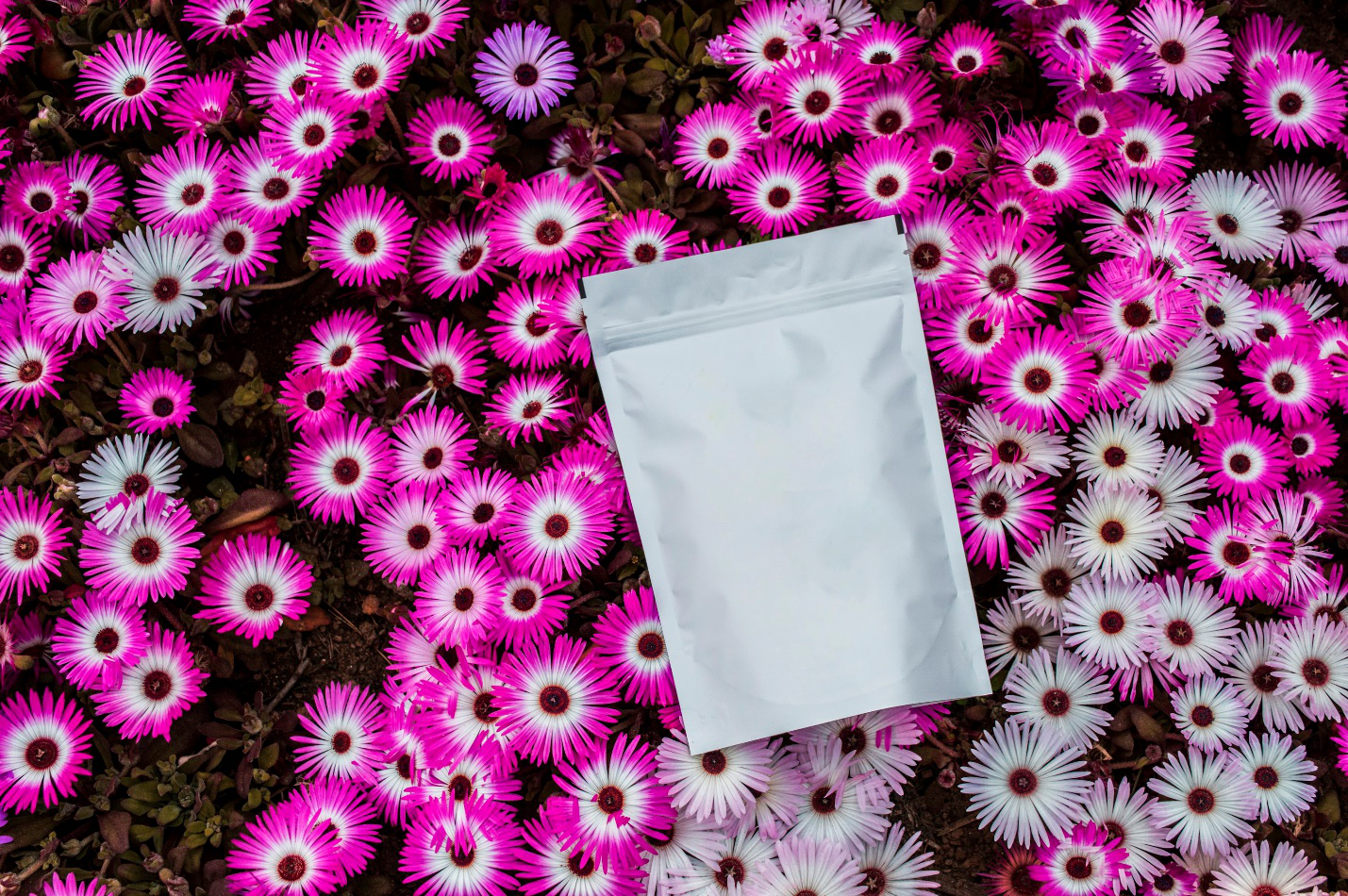 A large pouch filled with product.