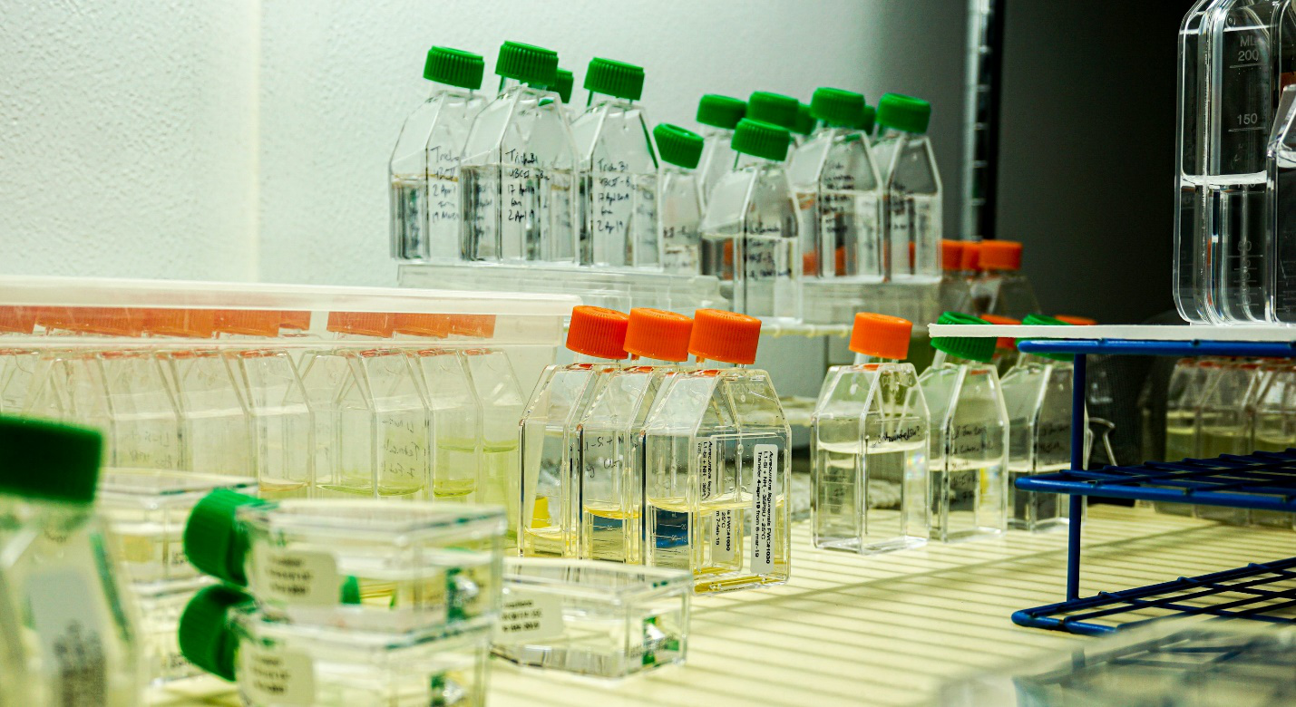 Several bottles laid out in a lab.